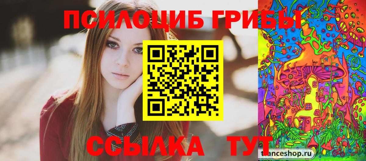 Корсаков  Галлюциногенные грибы мицелий  закладки  Вход с VPN 